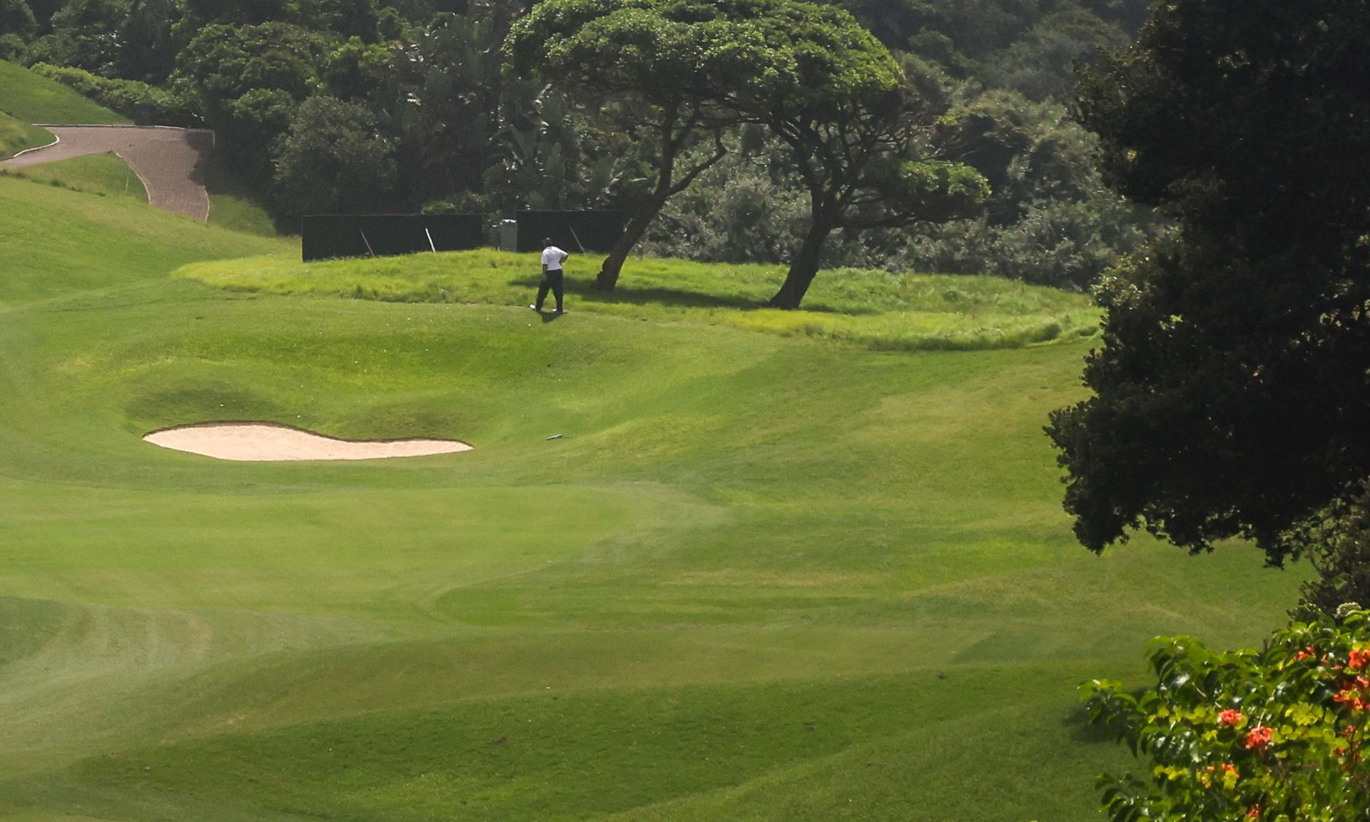 Green and bunker among coastal trees on the KwaZulu-Natal coast